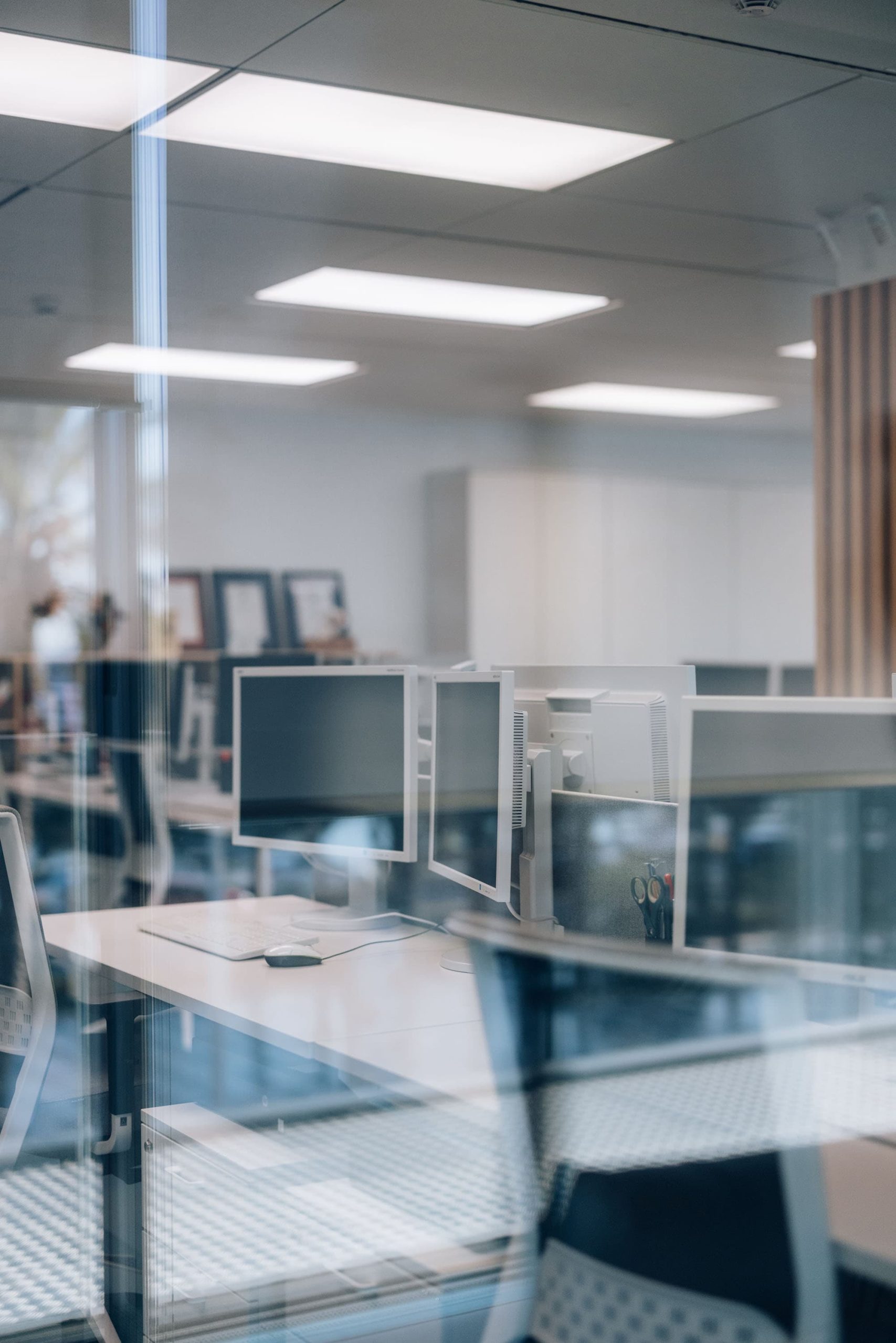 2025-05-26_PADIMA_corporativo-126