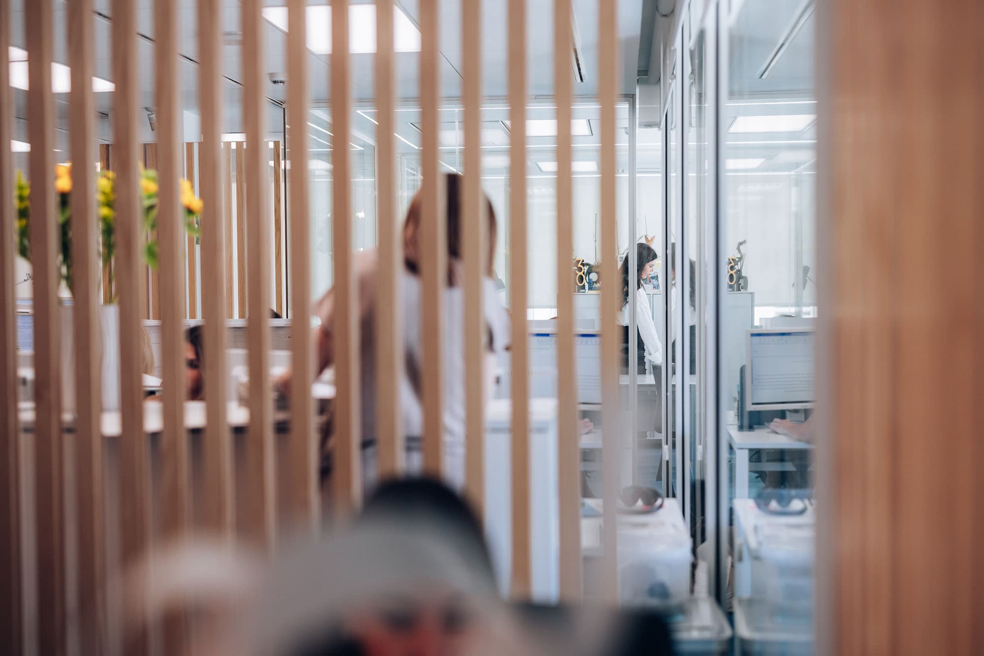 2025-05-26_PADIMA_corporativo-2823