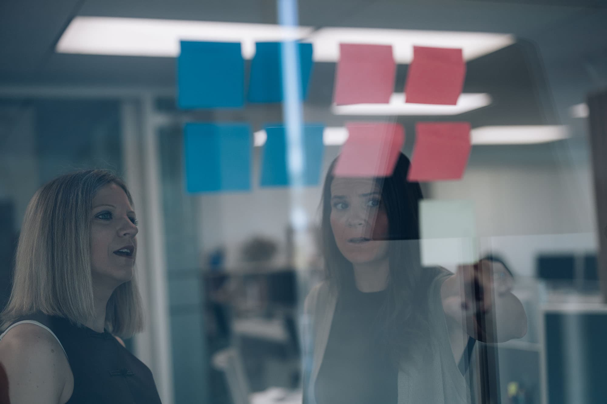 2025-05-26_PADIMA_corporativo-366