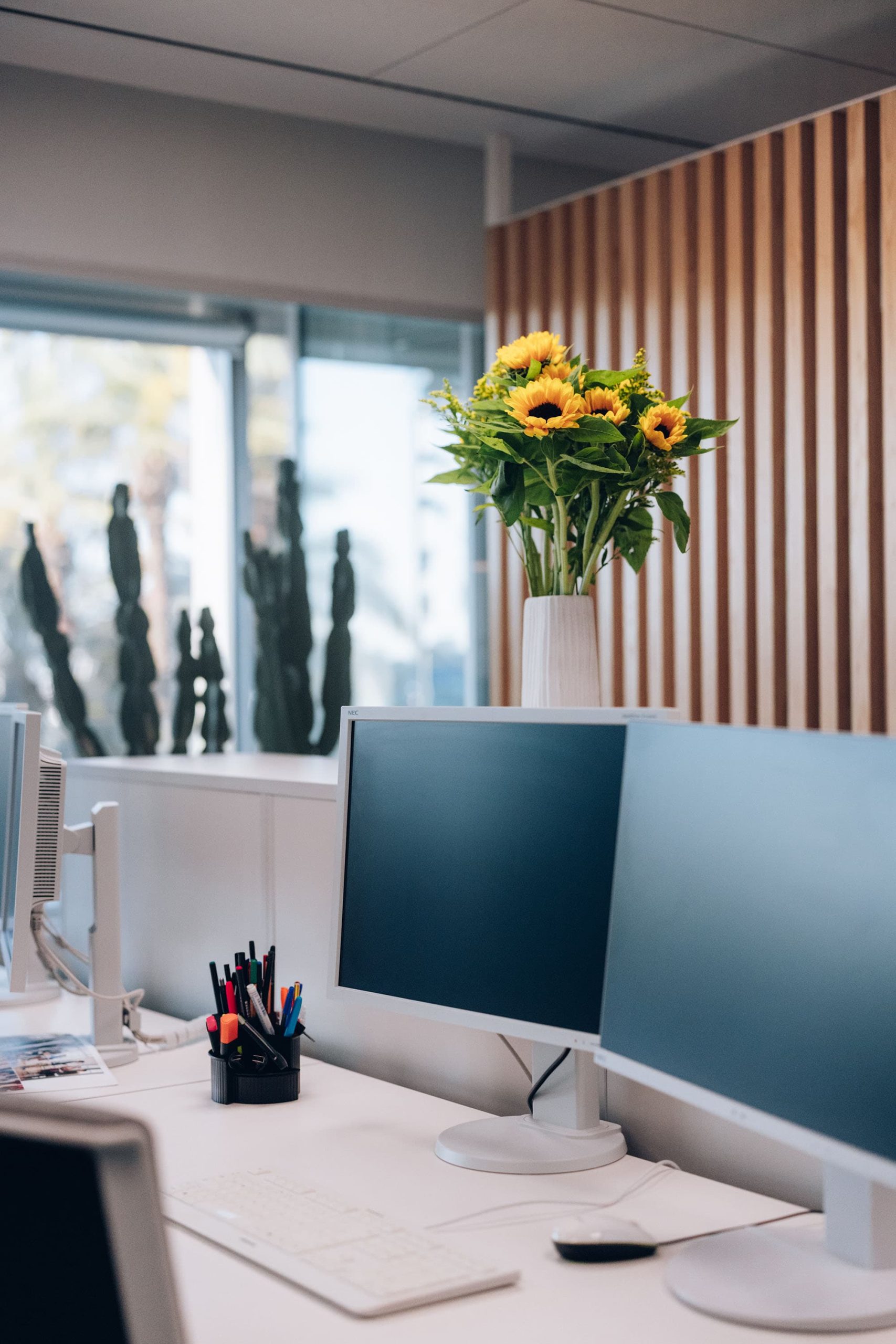 2025-05-26_PADIMA_corporativo-40-2