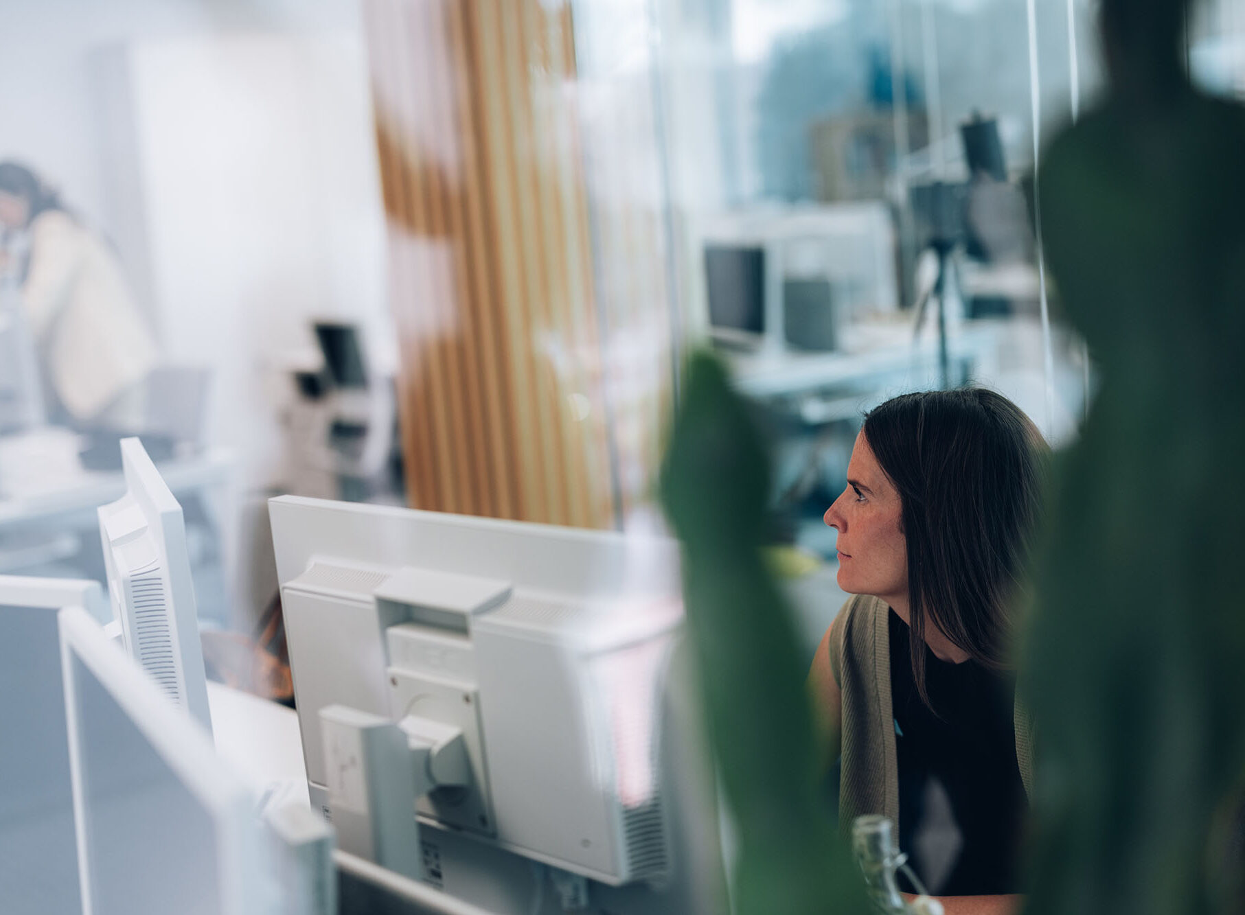 servicios-indicaciones-geograficas