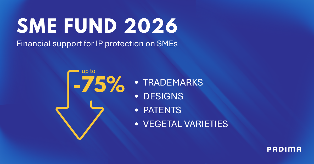 SUBVENCIONES SME FUND (2)