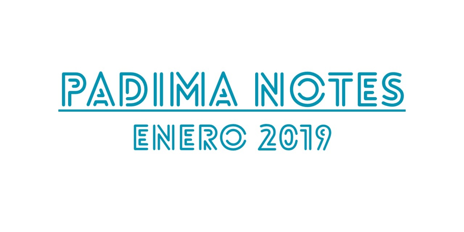 Padima Notes enero 2019