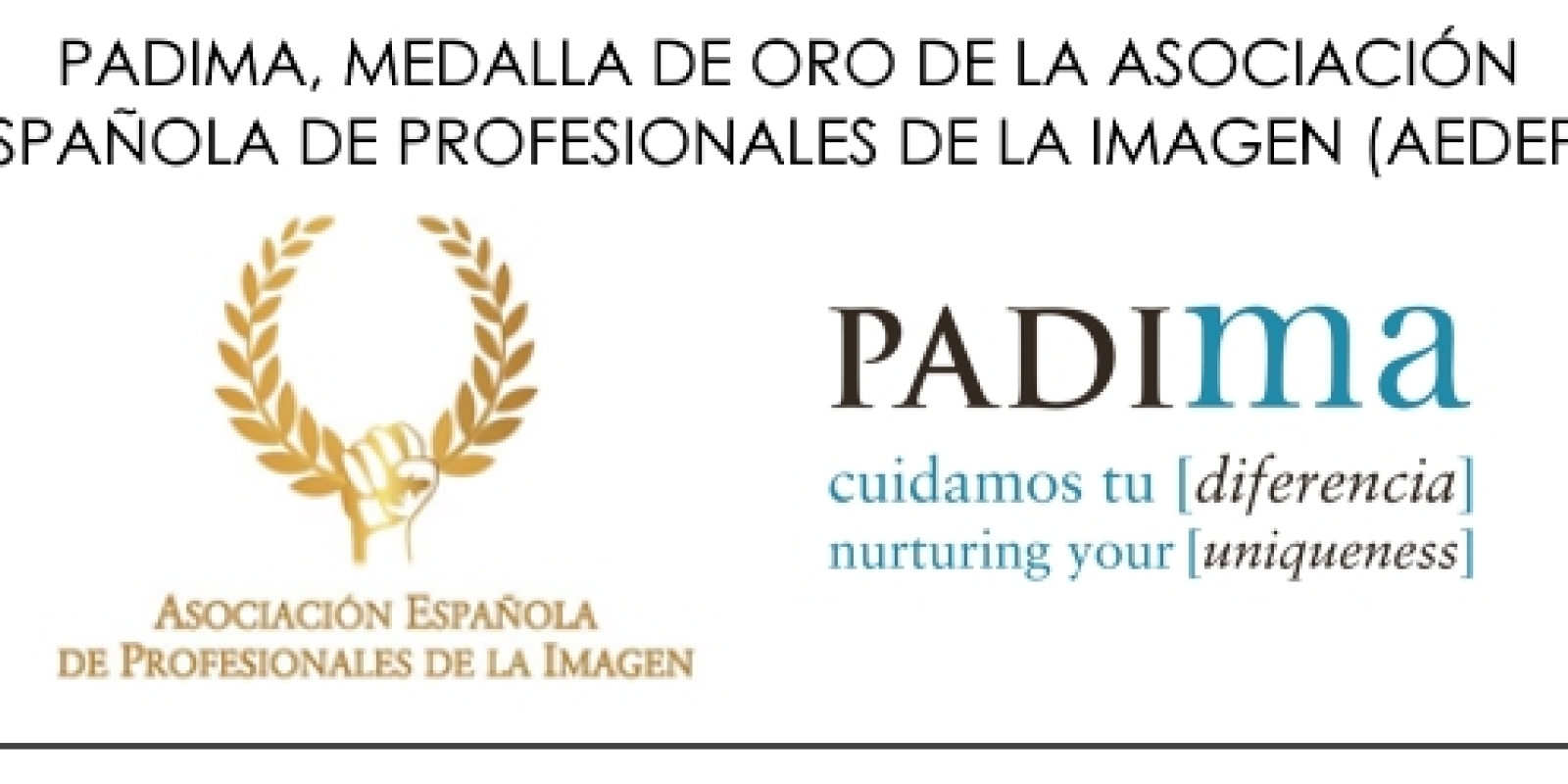 Medalla de oro de la AEDEPI