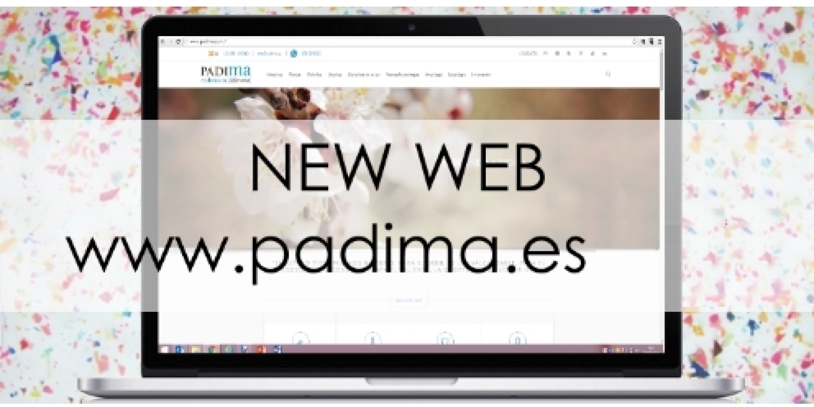 Portada-new-web-PADIMA