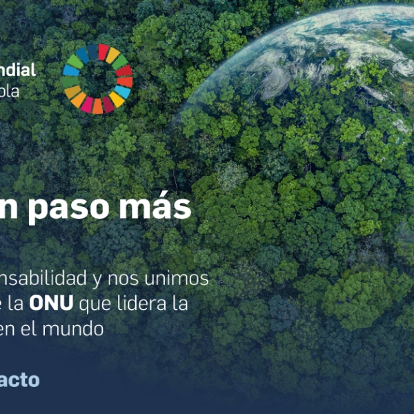 PADIMA y el Pacto Mundial de la ONU